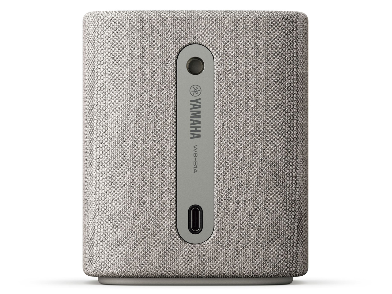 WS-B1A(HL) [���C�g�O���[]