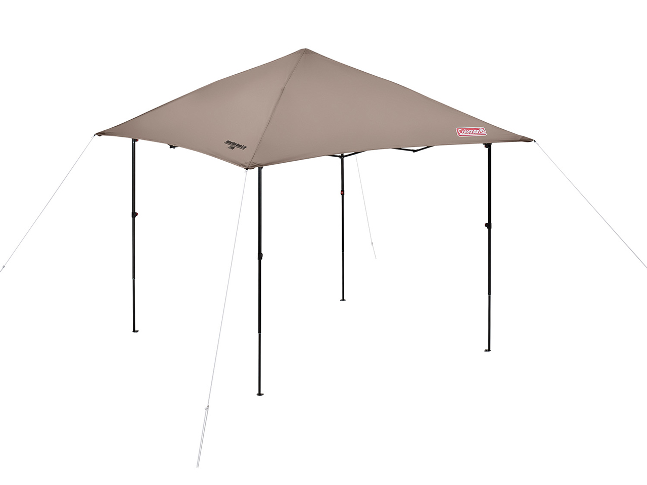 �C���X�^���g�o�C�U�[�V�F�[�hII/M 2189299 [�O���[�W��] �̐��i�摜