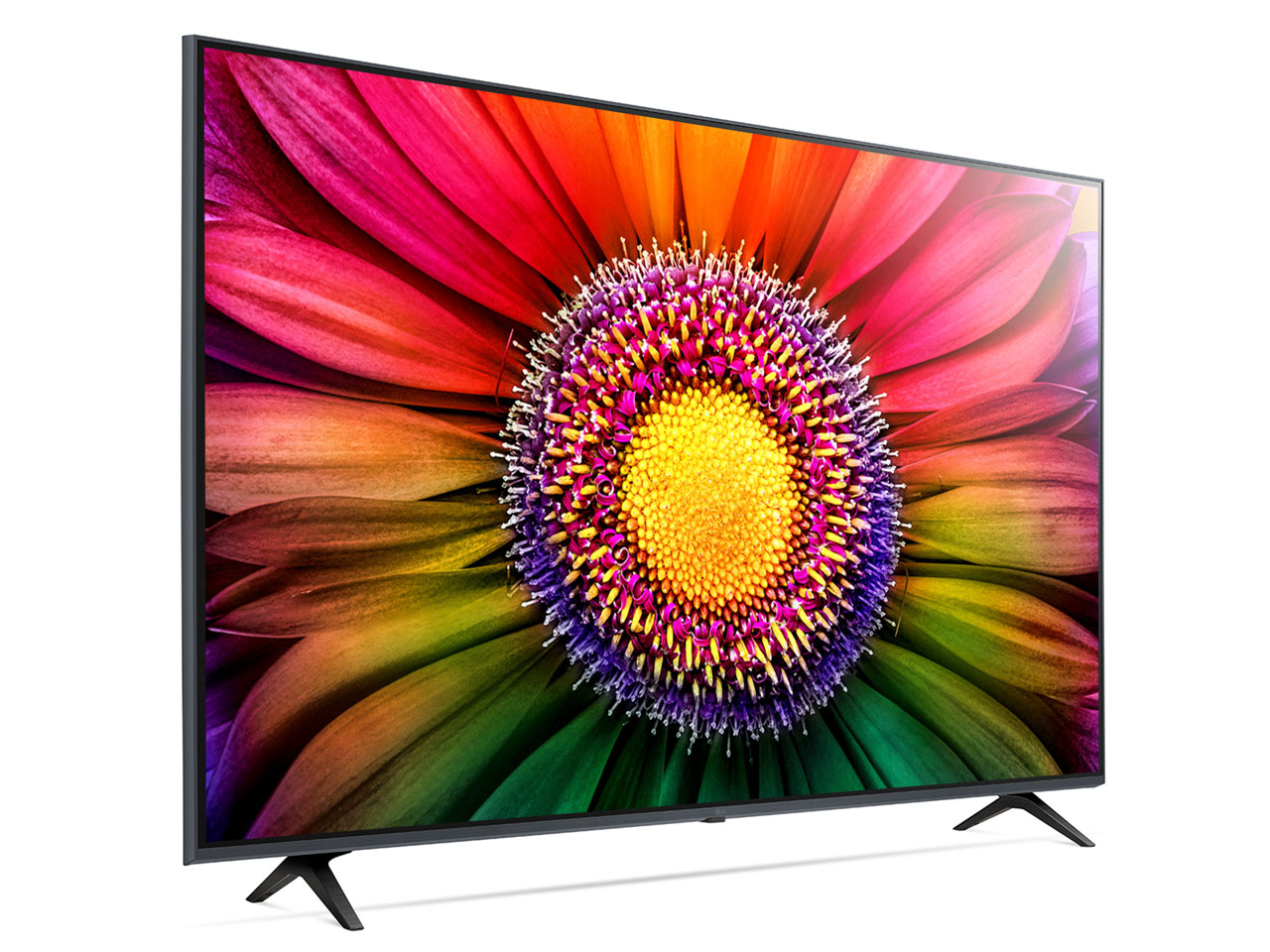 65UR8000PJB [65�C���`]