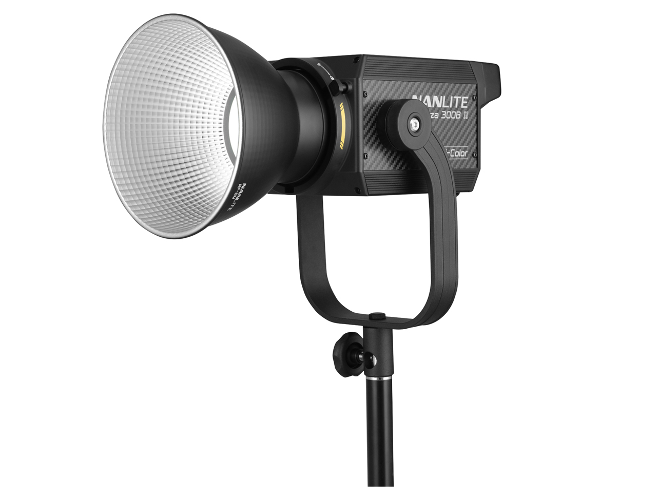 Forza 300B II 31-2010 �̐��i�摜