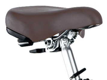 �r�r�EL�E�������� BE-FLW631-V [�f�B�[�v�u���[���^���b�N] + ��p�[�d��