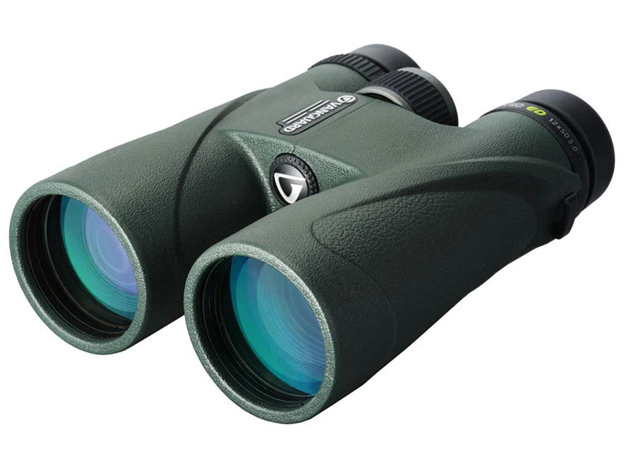 VEO ED 1250 �̐��i�摜