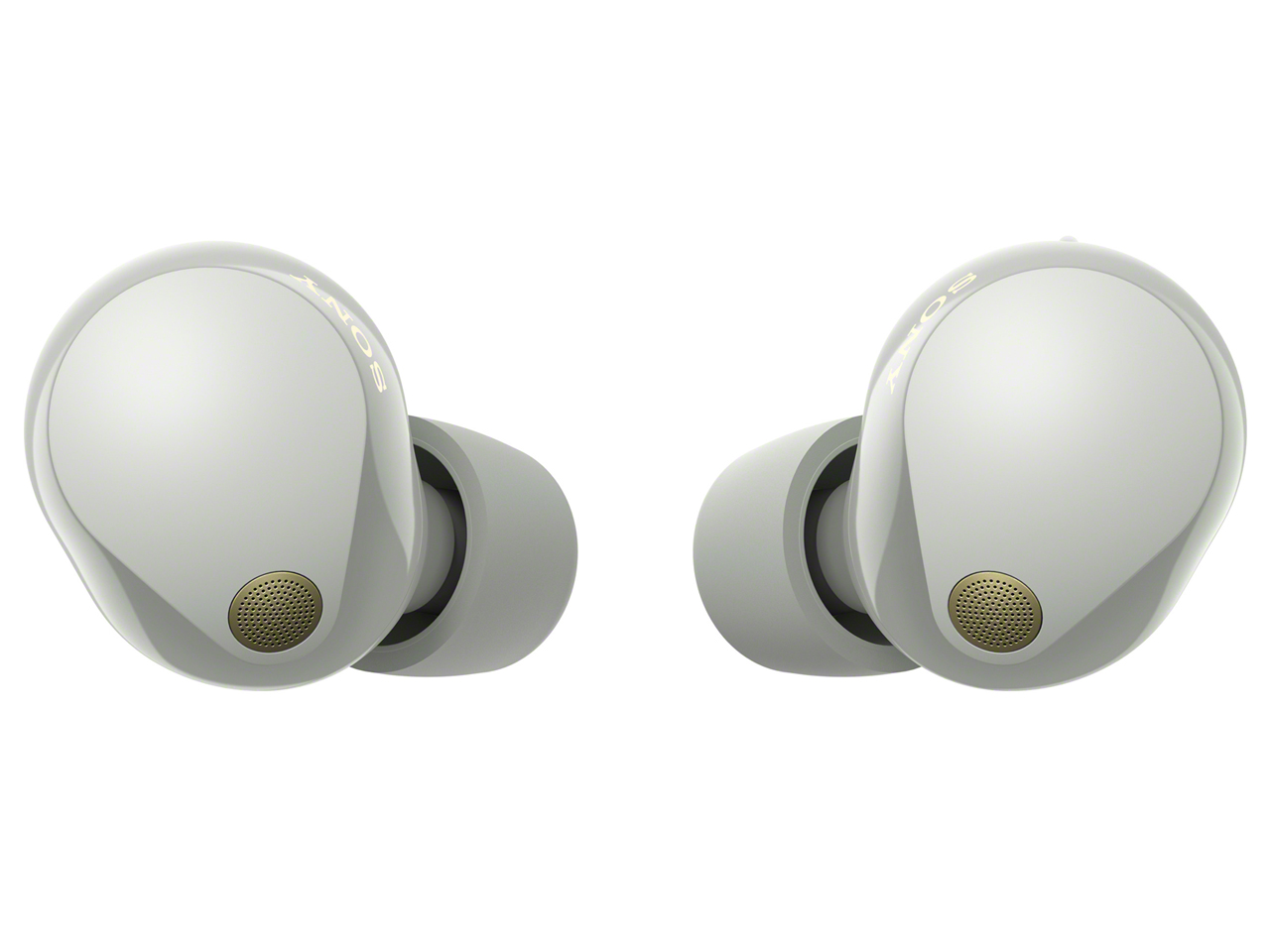 WF-1000XM5 (S) [�v���`�i�V���o�[]