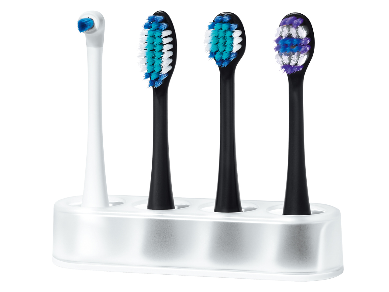 ���g�U���n�u���V �h���c EW-DT73-A [�f�B�[�v�l�C�r�[]