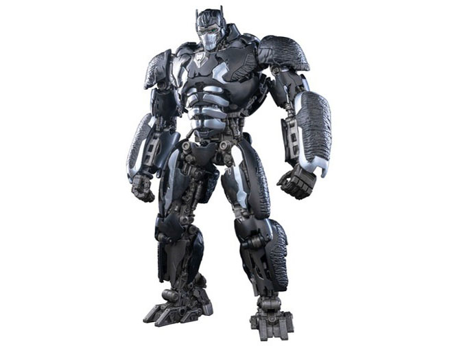 �f�� �g�����X�t�H�[�}�[/�r�[�X�g�o�� 01 �I�v�e�B�}�X�v���C�}�� �̐��i�摜