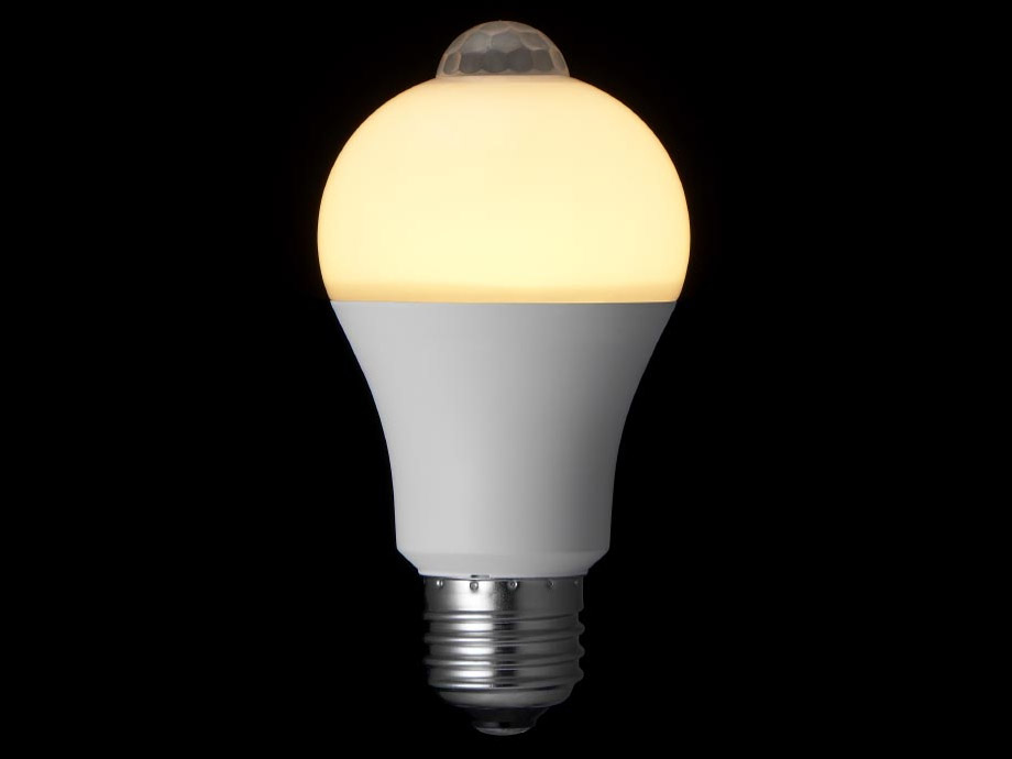 LDA5LGP2 [�d���F]