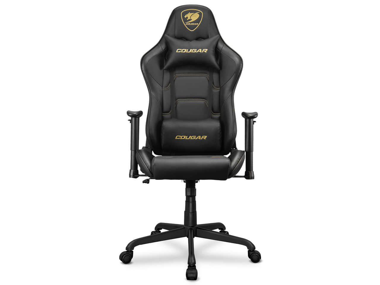 Armor ELITE CGR-ELI-GLB [Royal] �̐��i�摜