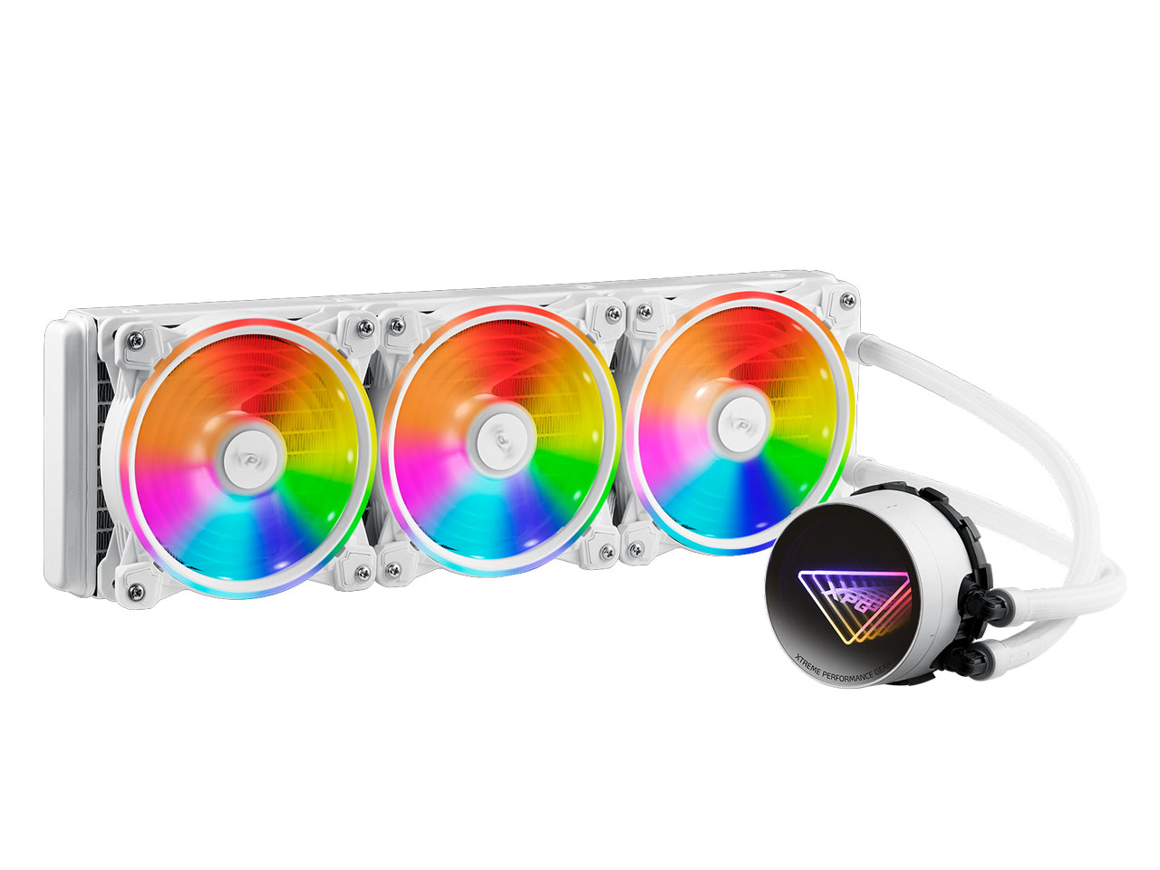 LEVANTEX360-WHCWW [�z���C�g] �̐��i�摜