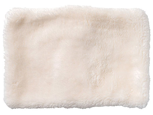 plus more PBAWA003-IV [�A�C�{���[] �̐��i�摜