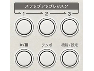 Casiotone ���i�r�Q�[�V�����L�[�{�[�h LK-530 [�z���C�g]