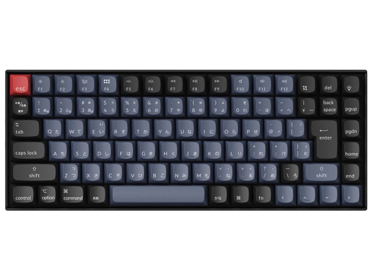 K2P-G1-JIS �Ԏ� �̐��i�摜