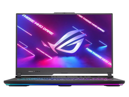 ROG Strix G17 G713PV G713PV-R98R4060T [�G�N���v�X�O���[]