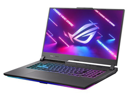 ROG Strix G17 G713PV G713PV-R98R4060T [�G�N���v�X�O���[]