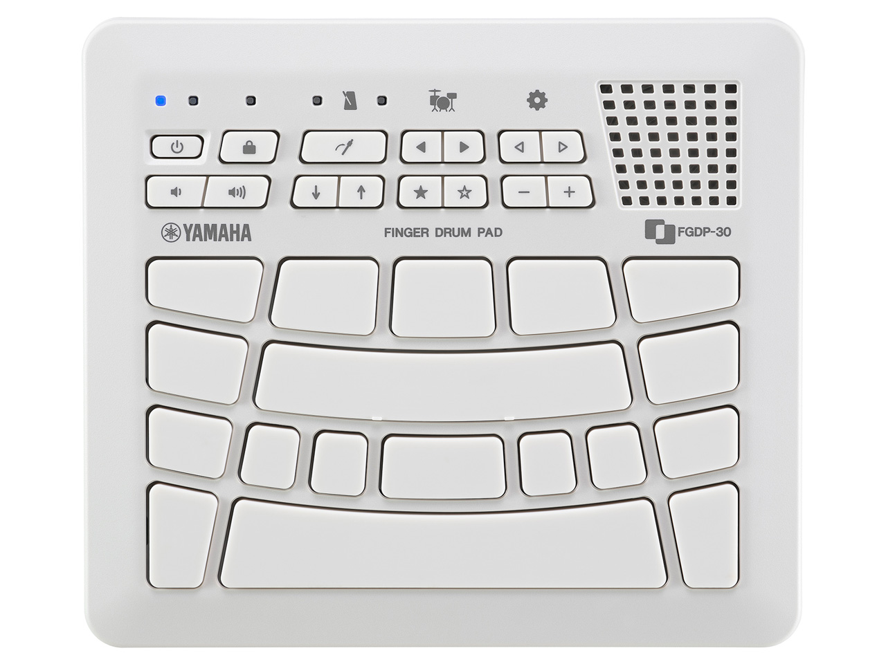 FGDP-30 �̐��i�摜