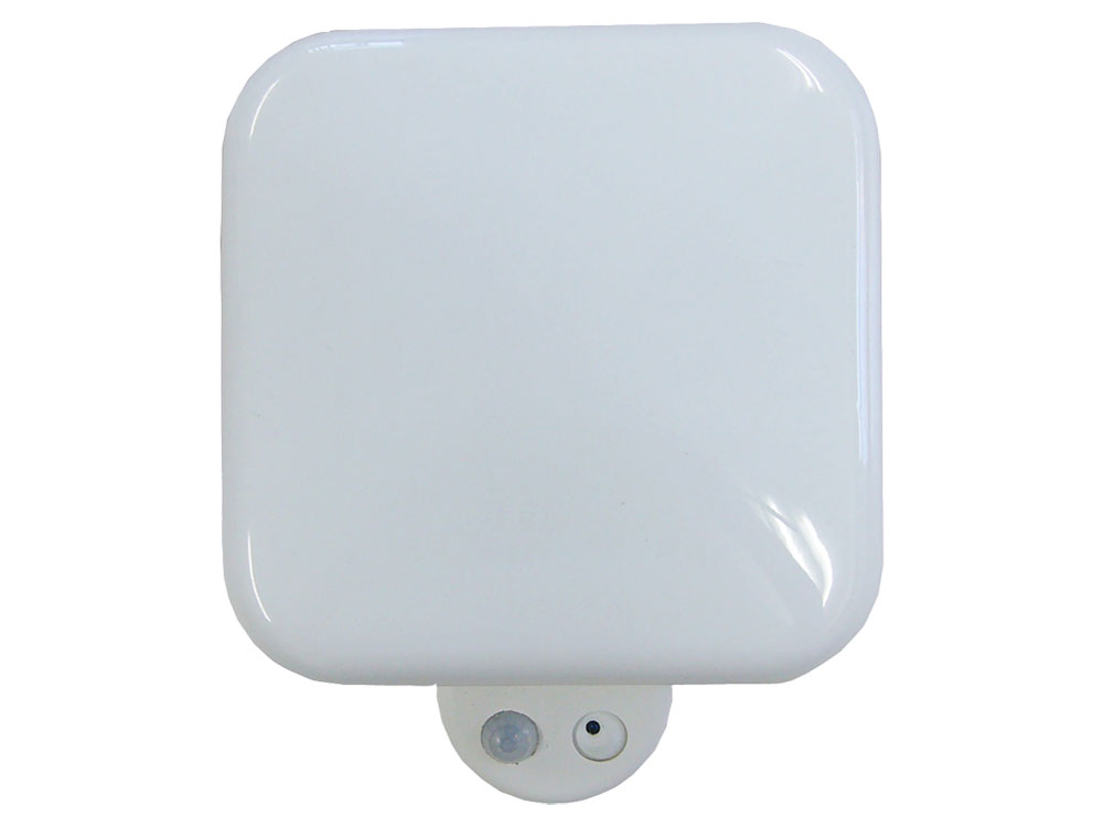 SD500 �̐��i�摜