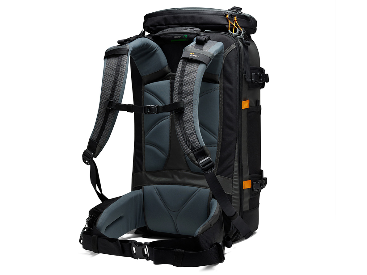 �v���g���b�J�[ BP650AW II LP37481-PWW [�O���[]