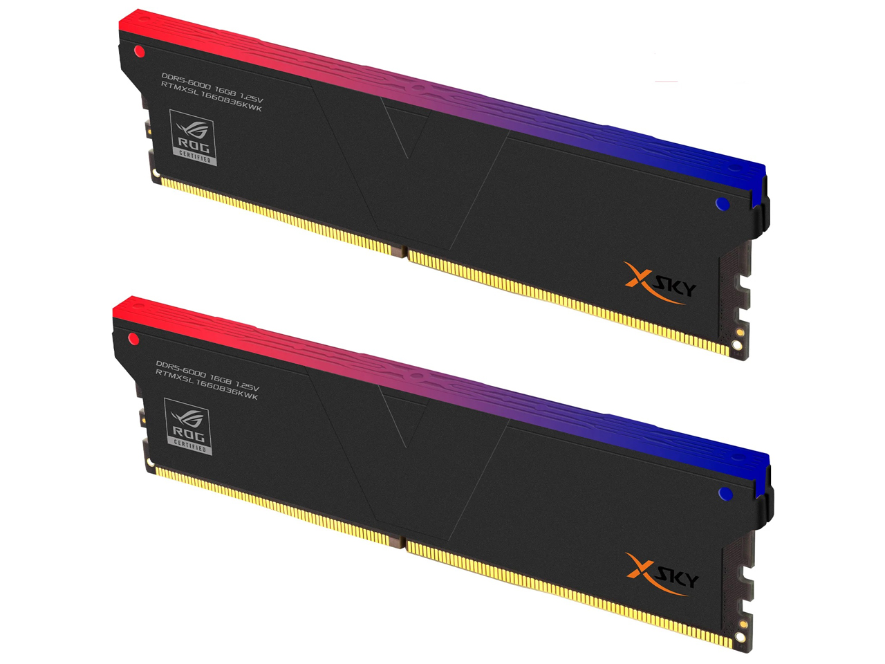 RTMXSL1660836KWK [DDR5 PC5-48000 16GB 2���g] �̐��i�摜
