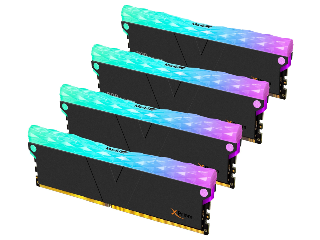 TMXPL1660836KW-DK [DDR5 PC5-48000 16GB 2���g] �̐��i�摜