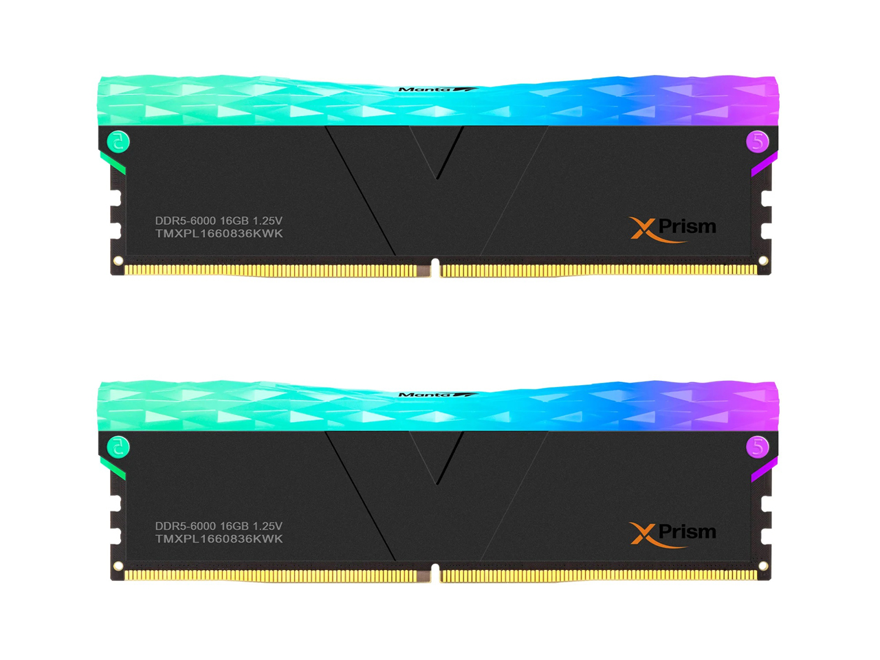 TMXPL1660836KWK [DDR5 PC5-48000 16GB 2���g] �̐��i�摜