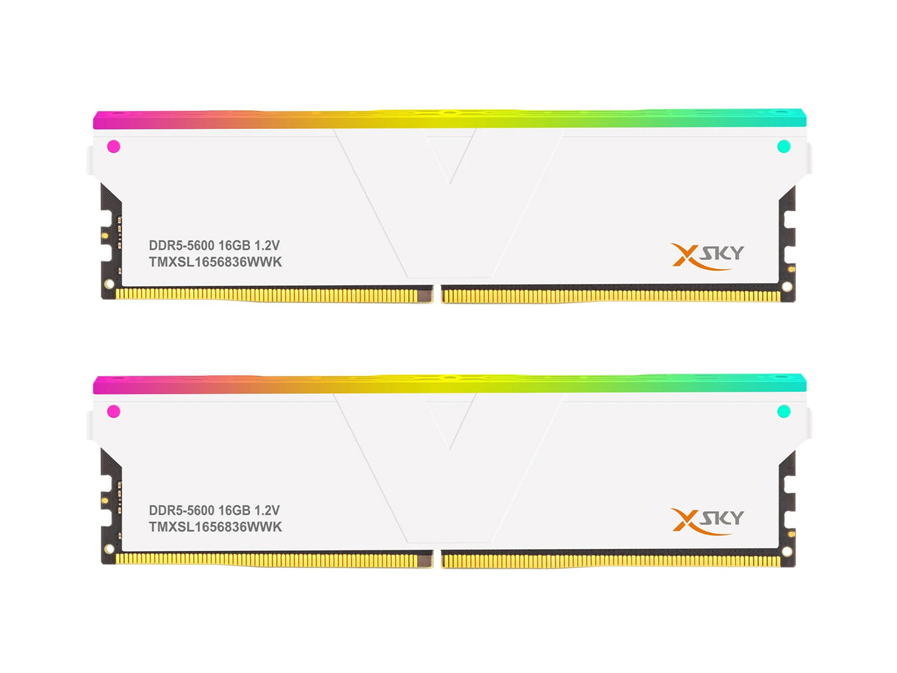 TMXSL1656836WWK [DDR5 PC5-44800 16GB 2���g] �̐��i�摜