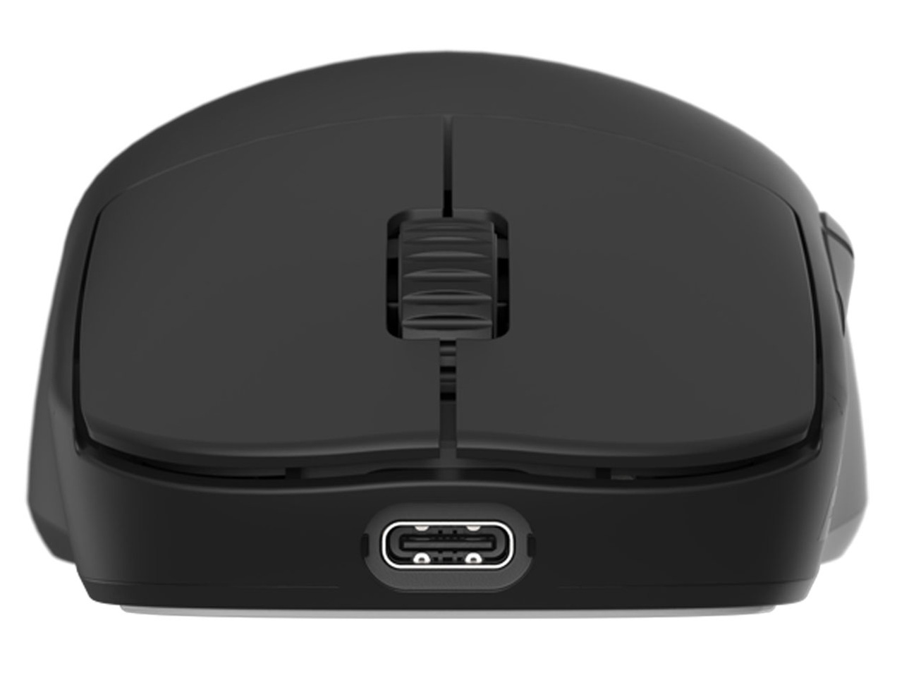 OP1we EGG-OP1WE-BLK [�u���b�N]