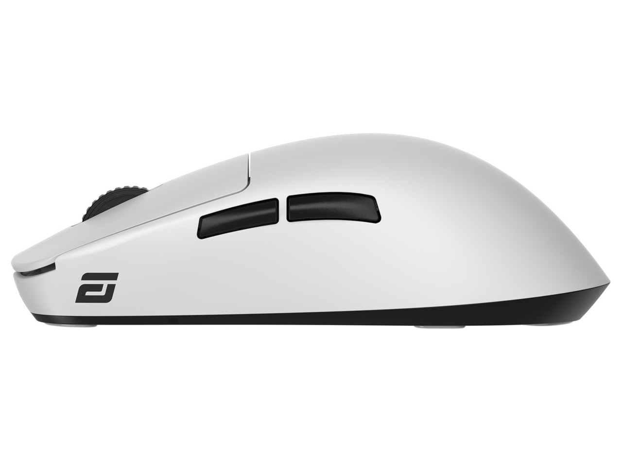 OP1we EGG-OP1WE-WHT [�z���C�g]