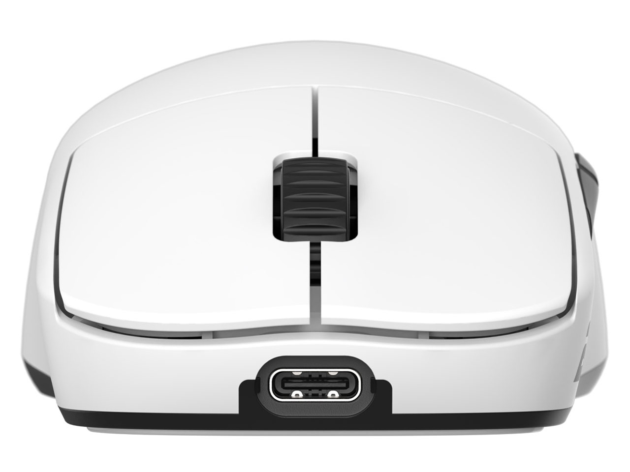 OP1we EGG-OP1WE-WHT [�z���C�g]