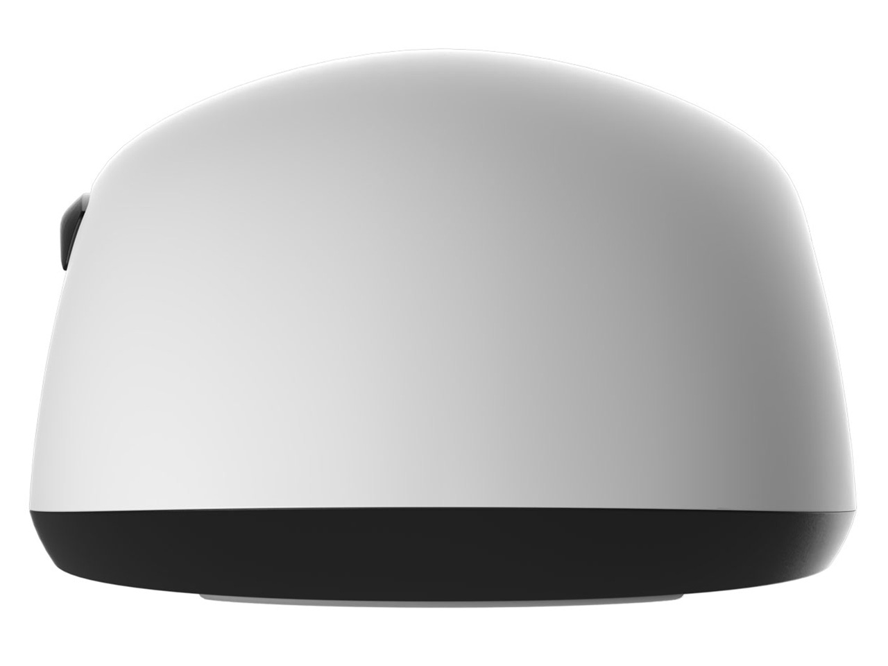 OP1we EGG-OP1WE-WHT [�z���C�g]