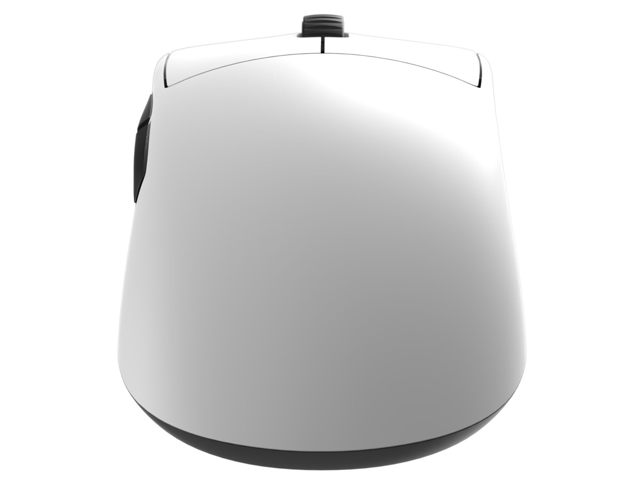 OP1we EGG-OP1WE-WHT [�z���C�g]