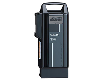 PAS Cheer PA26CH 2024�N���f�� [�J�J�I] + ��p�[�d��