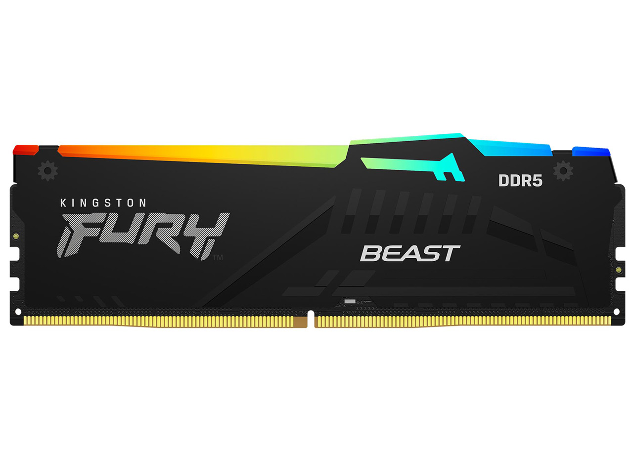 KF552C36BBEA-32 [DDR5 PC5-41600 32GB] �̐��i�摜
