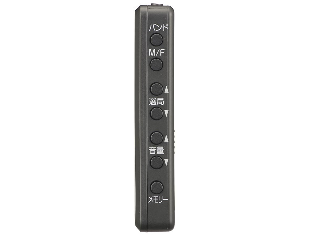 AudioComm RAD-P255N