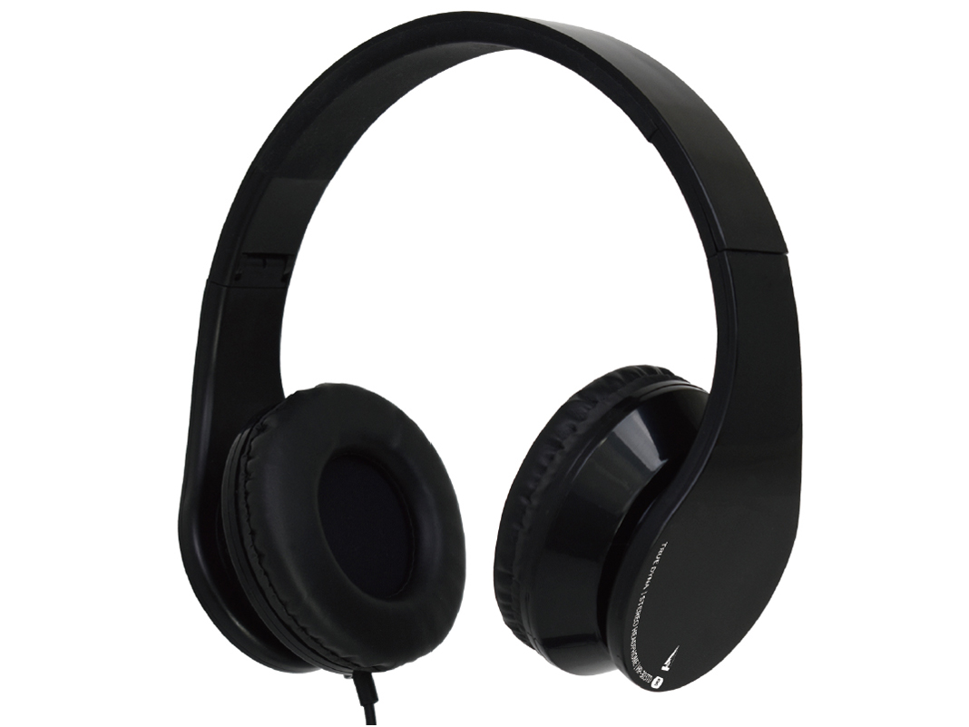 TRUE DYNA HP-303TD �̐��i�摜