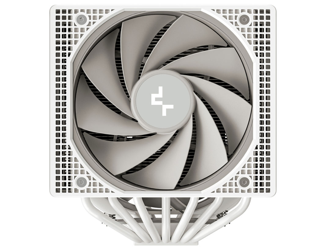 ASSASSIN IV WH R-ASN4-WHNNMT-G [�z���C�g]