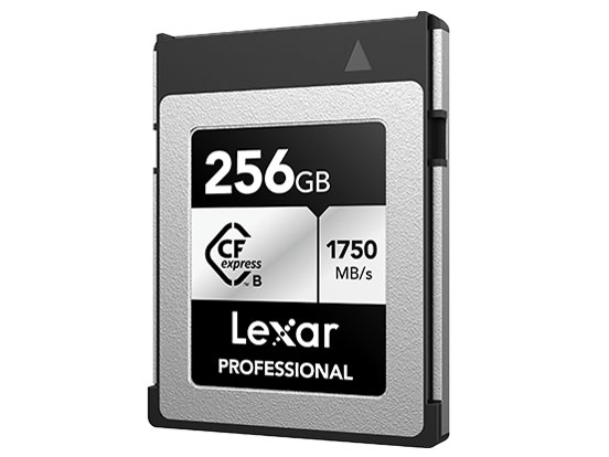 LCXEXSL256G-RNENG [256GB]