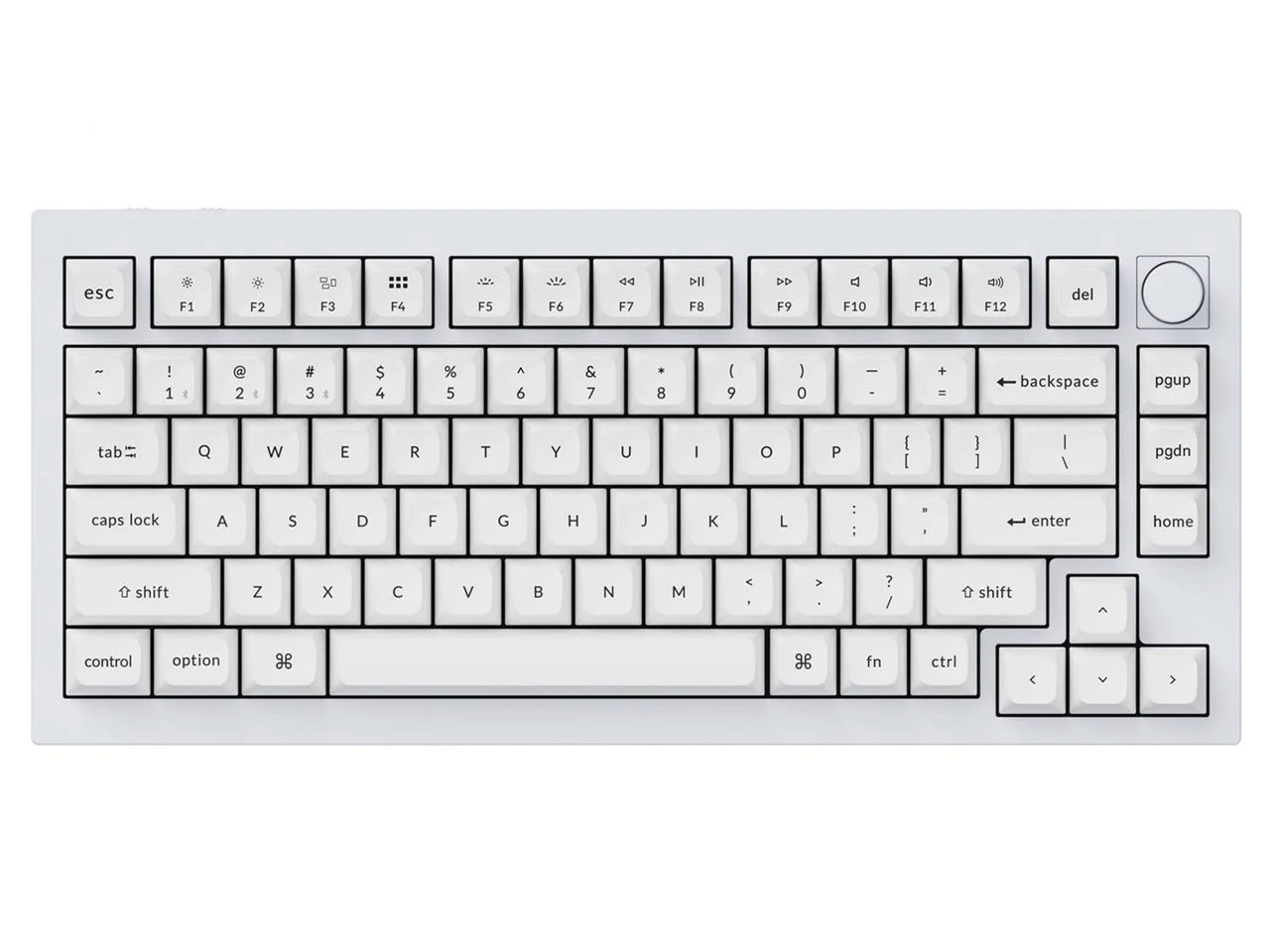 Q1P-P3W-US ���� [�V�F���z���C�g] �̐��i�摜