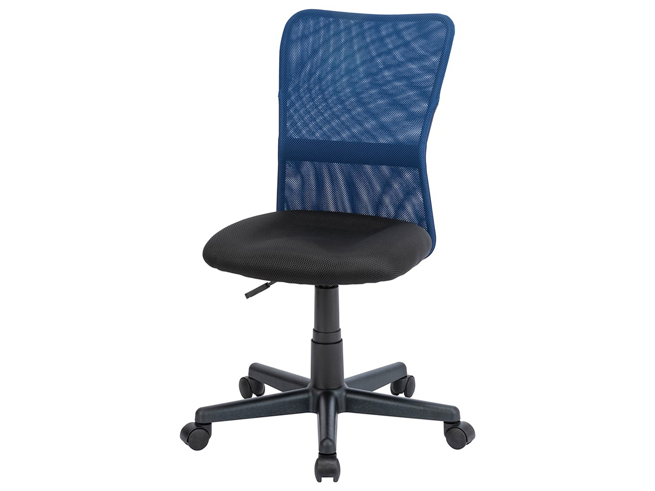 CNN-007NB [�l�C�r�[] �̐��i�摜