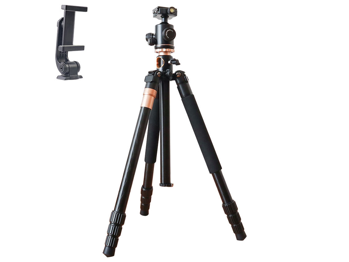 CWTSAFSBK �̐��i�摜