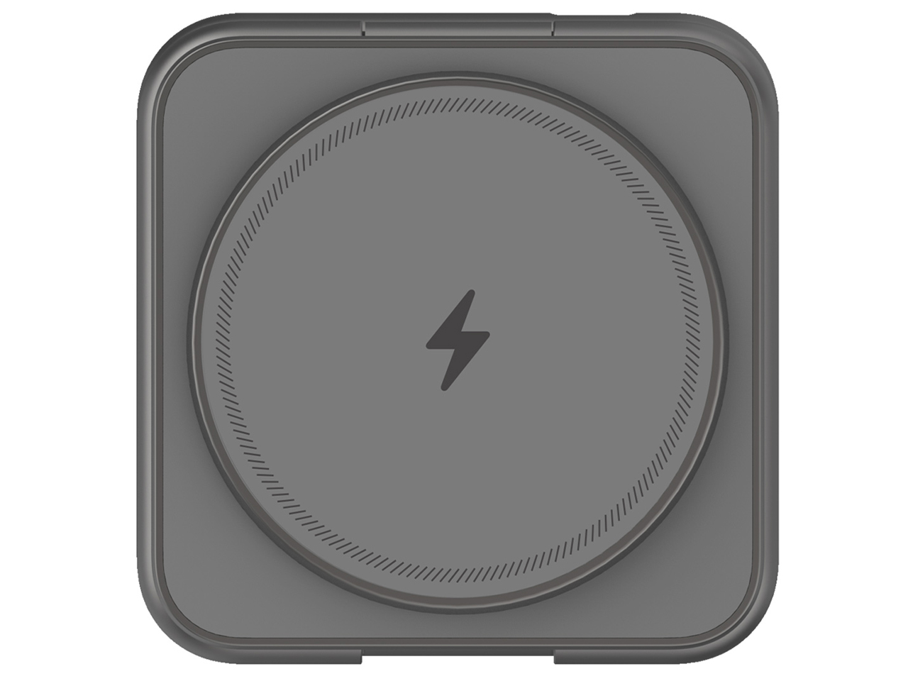 P1 Pro RB26608GR [�X�y�[�X�O���[]