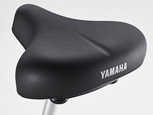 PAS With SP PA26WSP 2024�N���f�� [�f�B�[�v�o�C�I���b�g] + ��p�[�d��