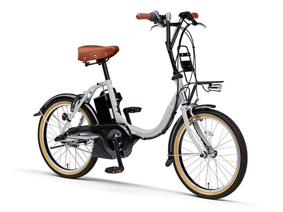 PAS CITY-C PA20CC 2024�N���f�� [�}�b�g���C�g�O���[] + ��p�[�d��