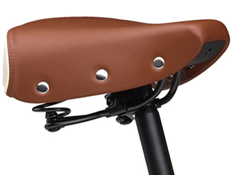 PAS CITY-C PA20CC 2024�N���f�� [�}�b�g���C�g�O���[] + ��p�[�d��