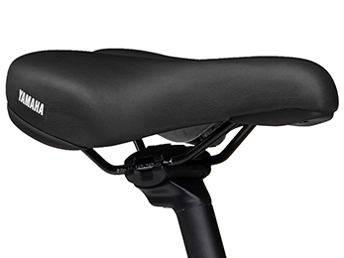 PAS CITY-X PA20CX 2024�N���f�� [�_�[�N�A���W�X�g] + ��p�[�d��