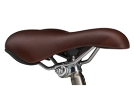 PAS CITY-V PA24CV 2024�N���f�� [�}�b�g�A���o�[2] + ��p�[�d��