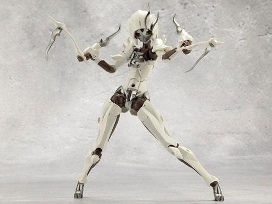 �����球��K���}���A �V�[�J�[