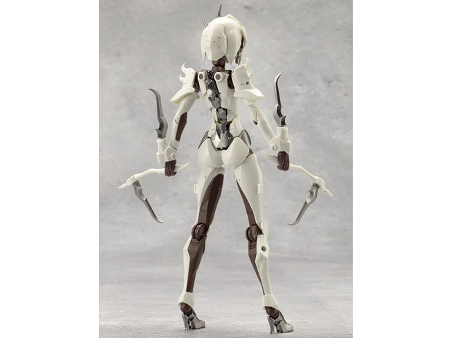 �����球��K���}���A �V�[�J�[