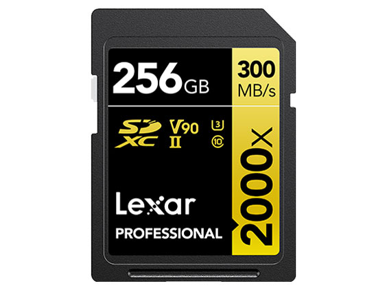 LSD2000256G-BNNNJ [256GB] �̐��i�摜