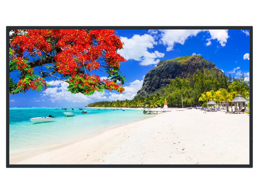 TH-50SQ2HJ [50�C���`] �̐��i�摜