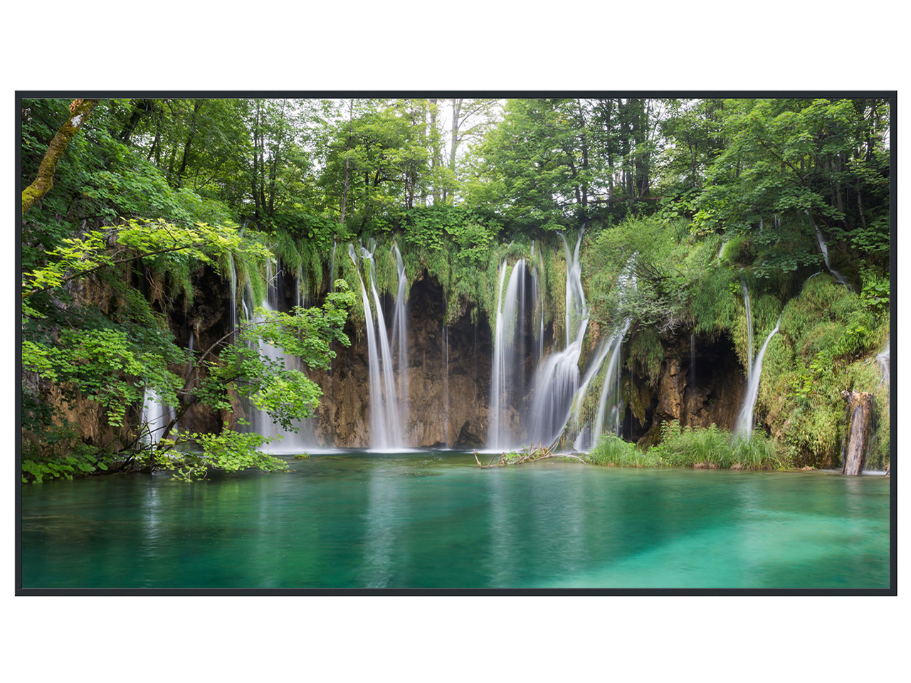 TH-75EQ2J [75インチ]