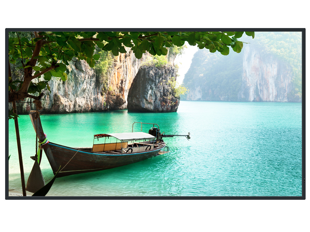 TH-65CQ2J [65インチ]